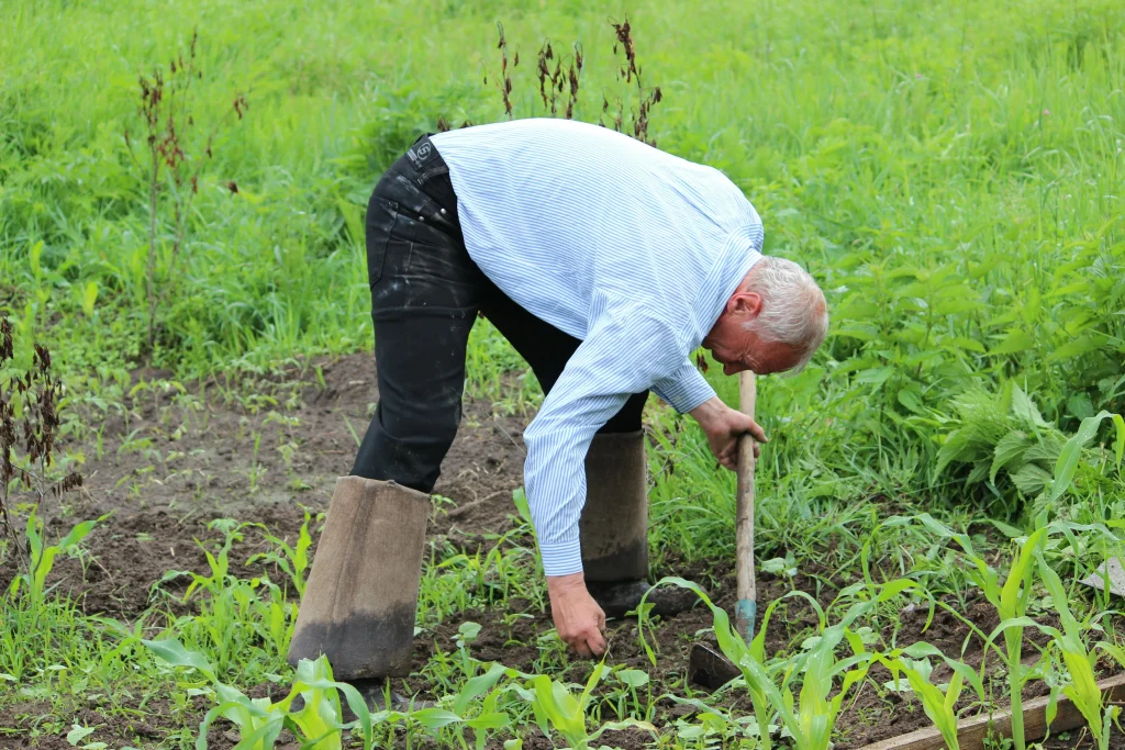 Farm life tips for building a simple backyard farm routine with daily crop checks