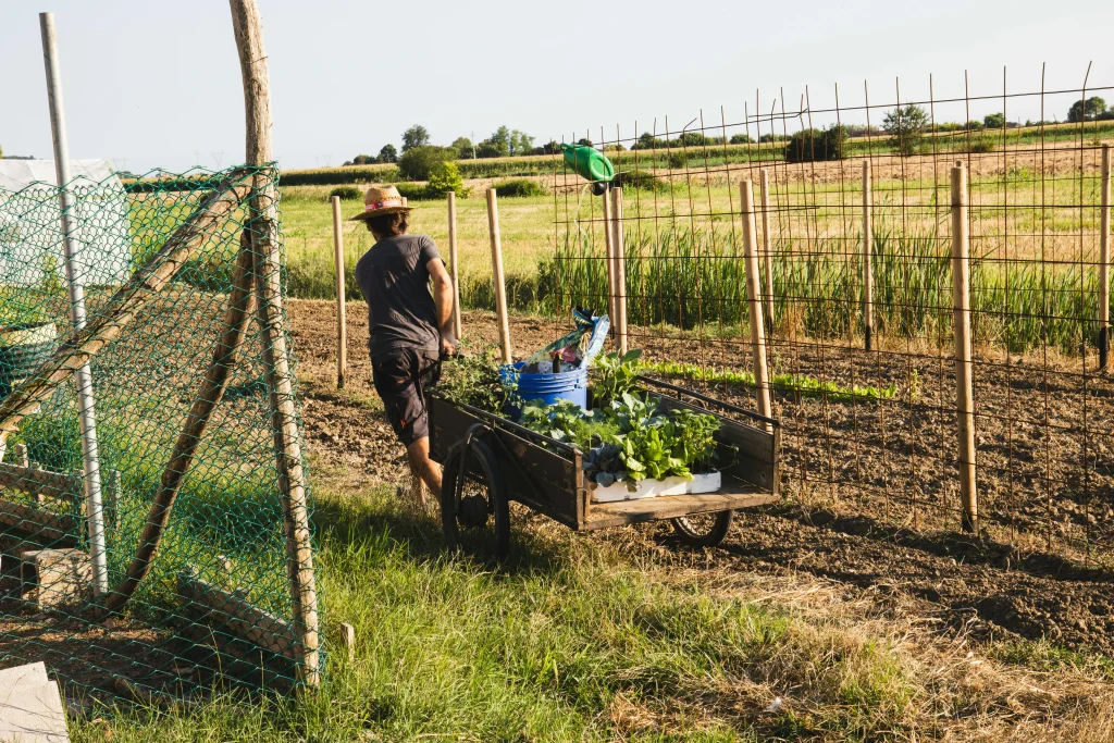 Farm life tips for managing a busy backyard farm week with tidy beds and organized tools