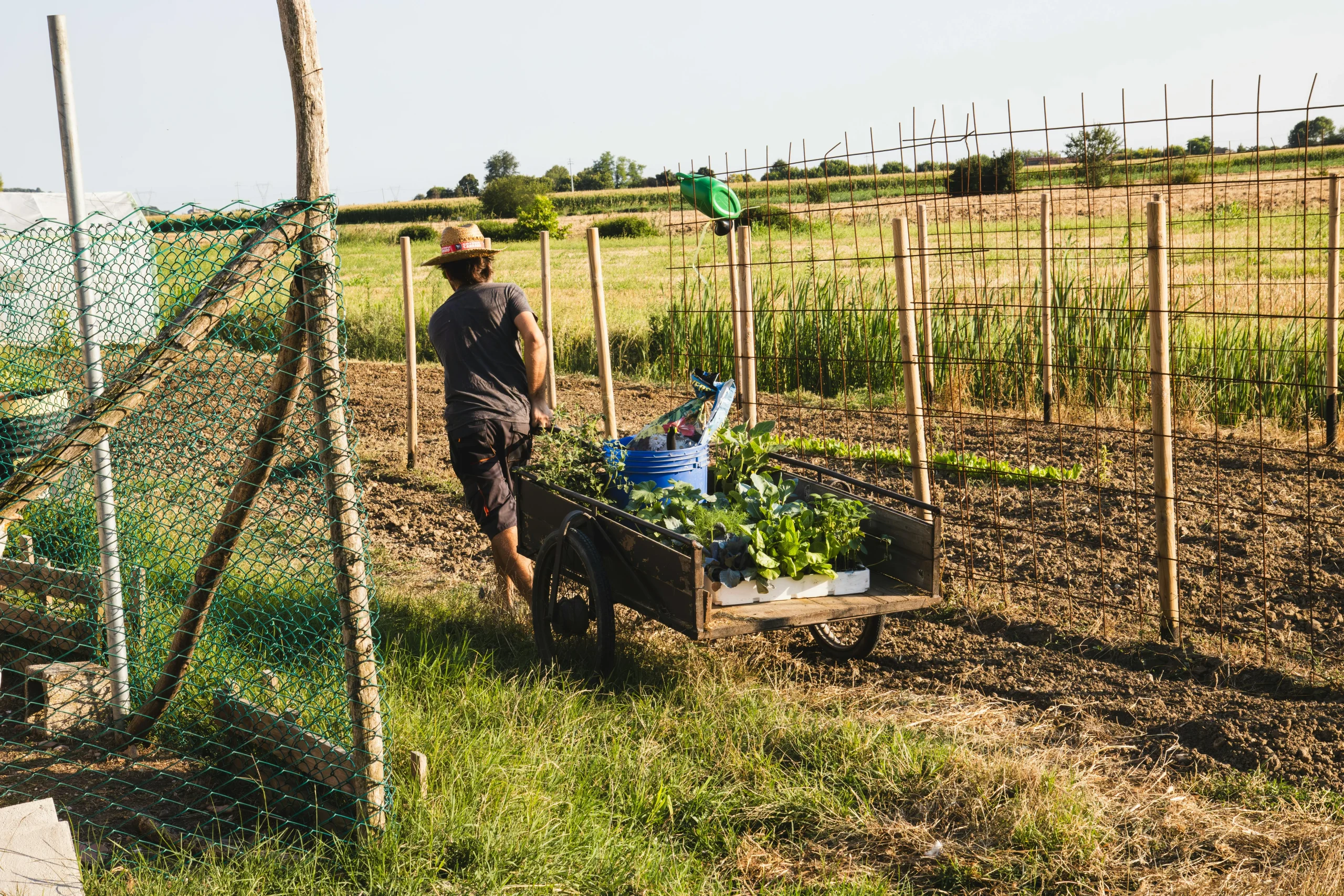 Farm life tips for managing a busy backyard farm week with tidy beds and organized tools