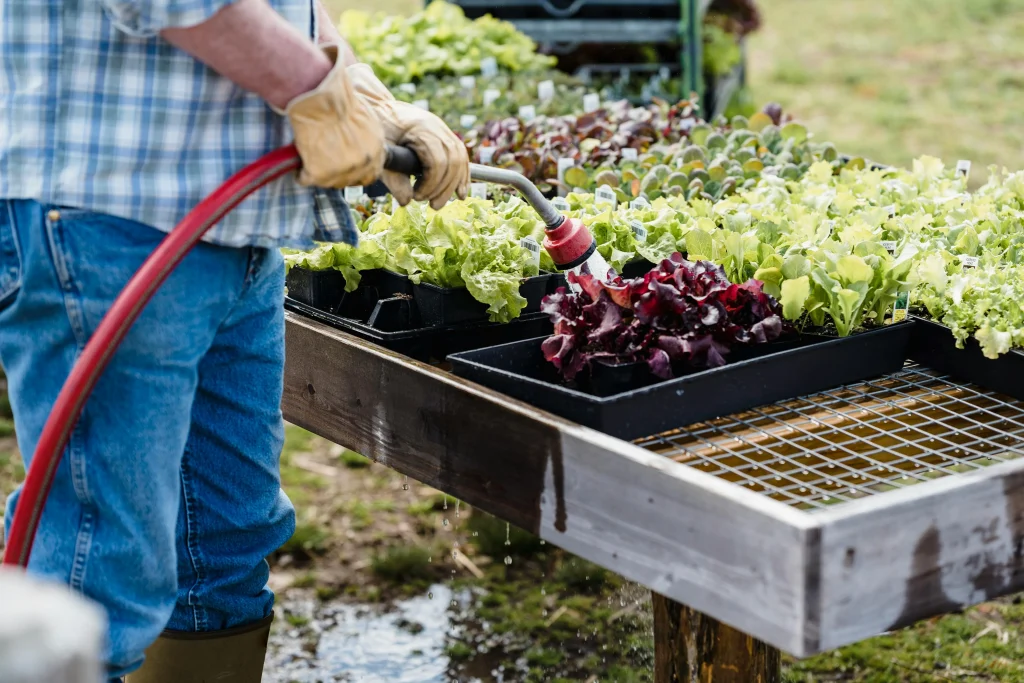 Farm life tips for organizing a busy garden routine with a short weekly task list