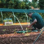 Farm life tips for spring preparation in a backyard farm space with tools and tidy beds