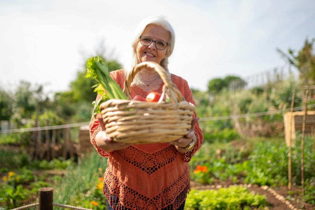 Harvest tips for backyard gardens shown during a fresh vegetable harvest with baskets and healthy crops