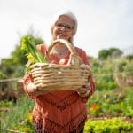 Harvest tips for backyard gardens shown during a fresh vegetable harvest with baskets and healthy crops