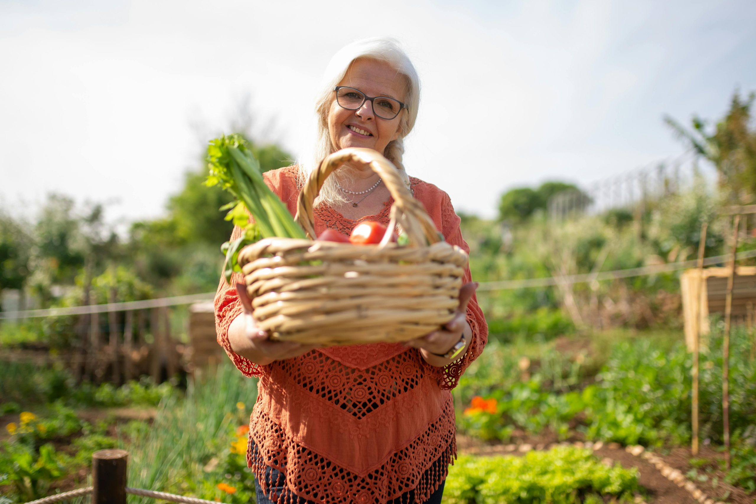 Harvest tips for backyard gardens shown during a fresh vegetable harvest with baskets and healthy crops