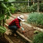 Small farm life tips shown in an organized backyard farm space with garden beds and tools