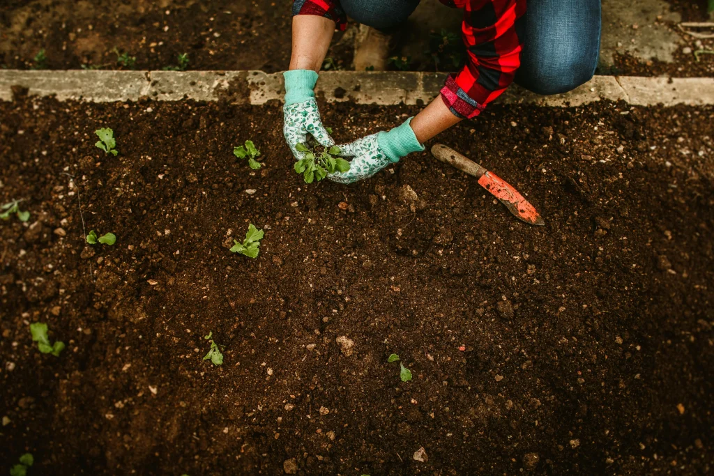 Soil tips for checking backyard garden soil texture after winter before spring preparation