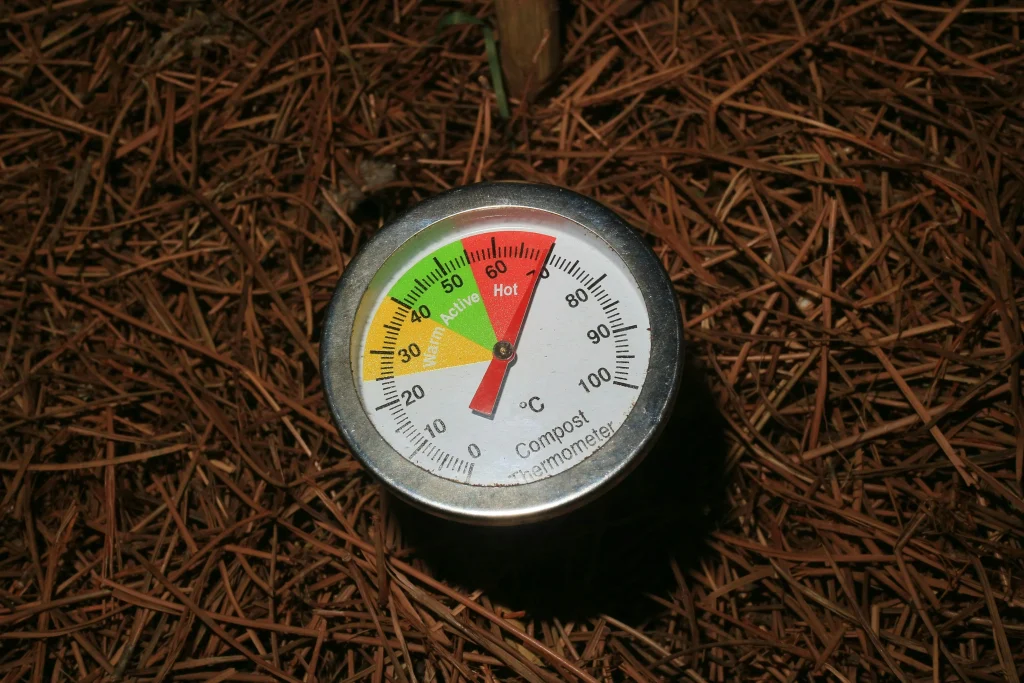 Soil tips for improving moisture balance in healthy backyard garden beds with compost and mulch