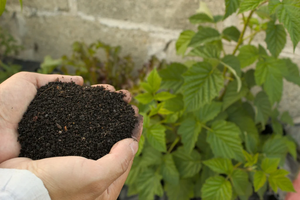 Soil tips for refreshing healthy garden soil in a backyard bed after winter
