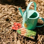 Water saving tips for a backyard garden using mulch and early watering during rising temperatures