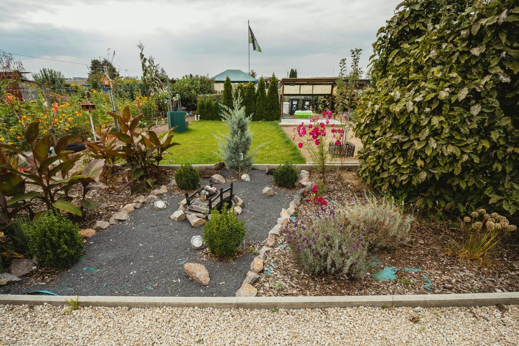 Growing hacks using trellises to save space in a small backyard garden