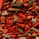 Water saving tips for helping backyard beds recover after very hot days with mulch and careful moisture checks