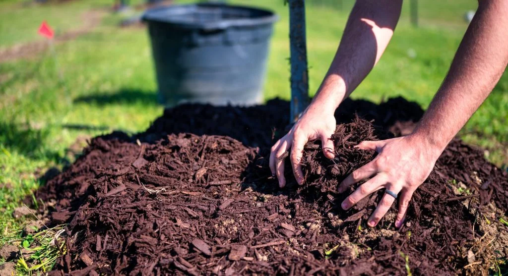 Water saving tips for keeping mulch even so moisture stays more balanced across a backyard bed