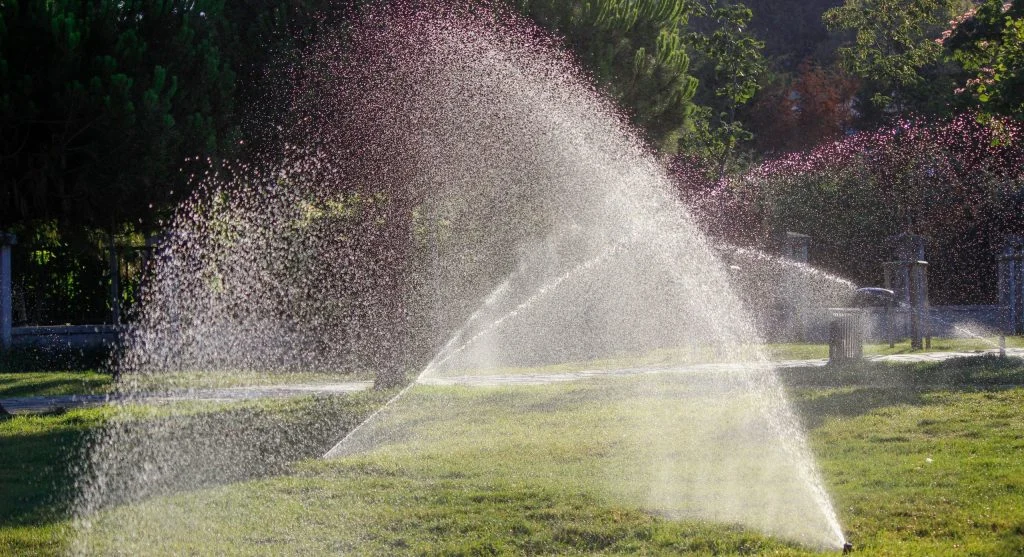 Water saving tips for summer garden