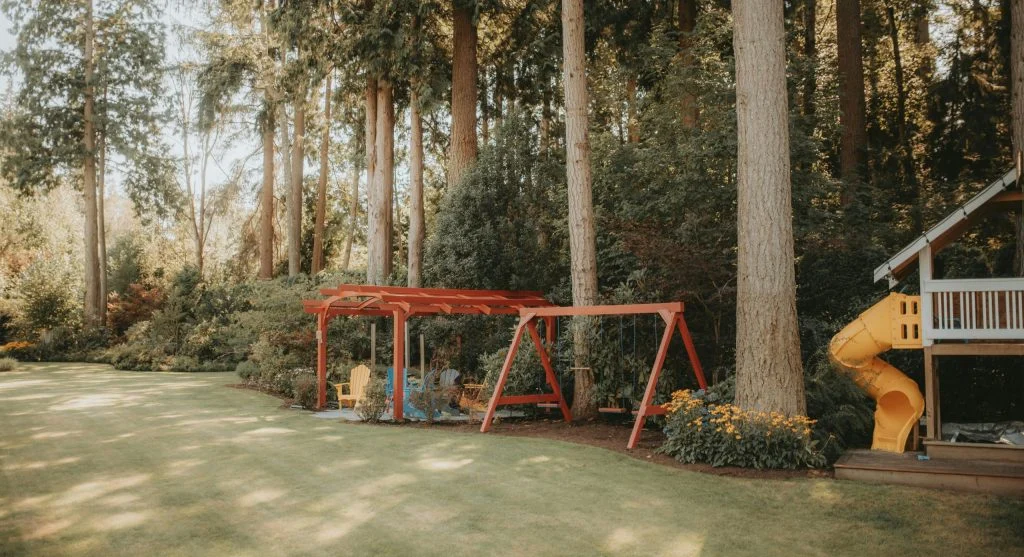Garden sunlight and partial shade patterns in a backyard