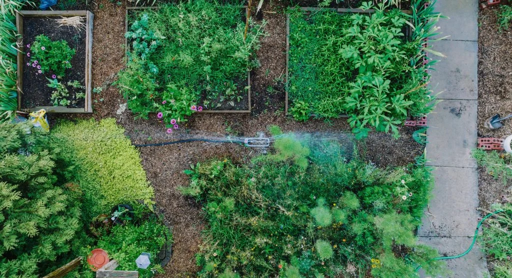 soil and mulch changes in garden beds