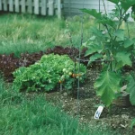 uneven garden soil performance
