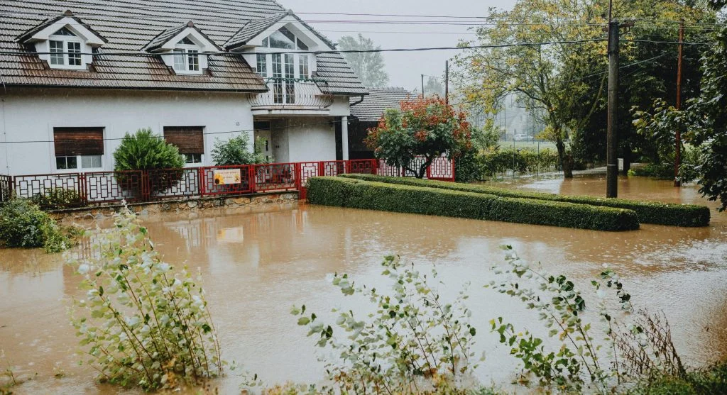 Soil tips for spotting waterlogged areas in backyard garden beds after heavy rain