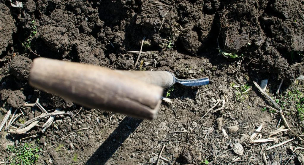 weak soil sections in garden bed