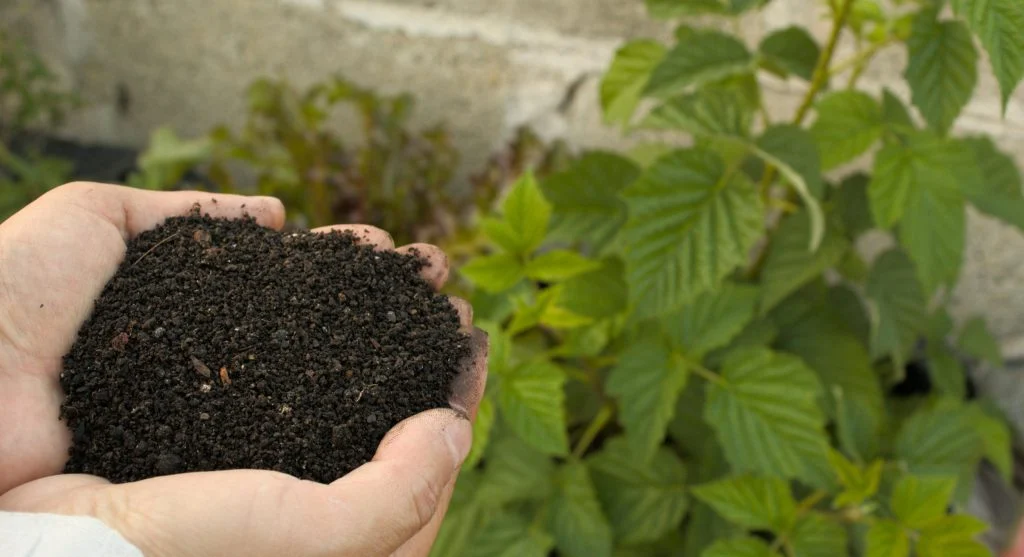backyard soil conservation tips
