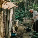 Backyard farm with organized tools and supplies