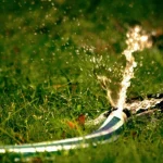 Water saving tips for vegetable garden