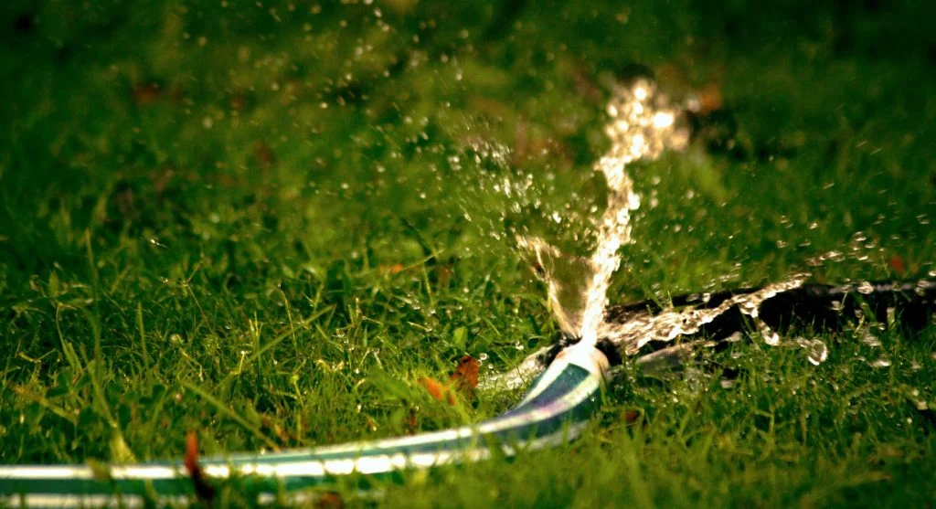 Water saving tips for vegetable garden