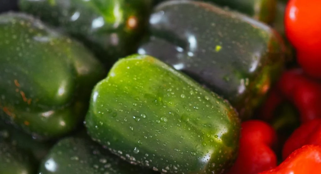 Wet garden produce in a lightly packed harvest basket