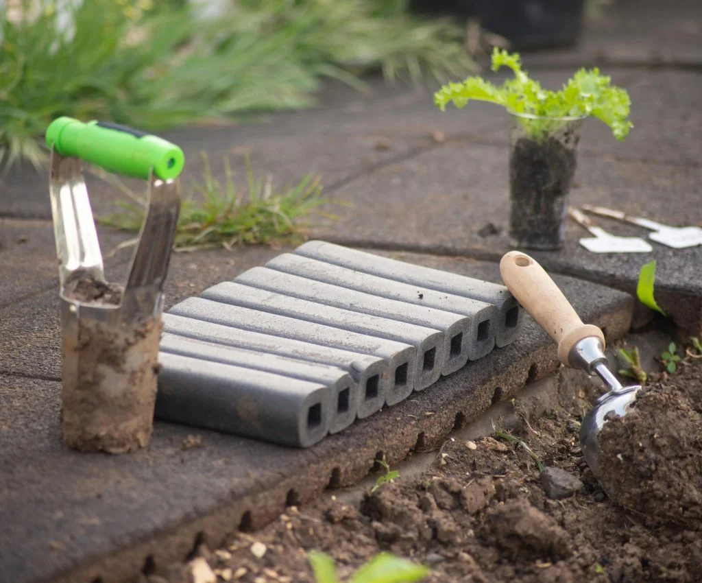Organized garden beds with healthy summer vegetables and clear pathways