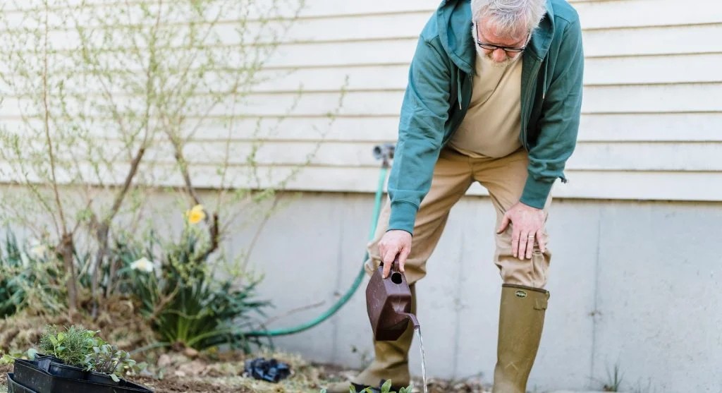 Person watering a newly transplanted outdoor plant