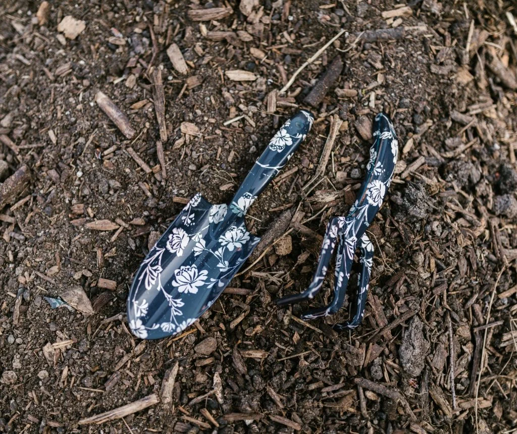 Gardening tips for warming soil before planting seeds in backyard bed