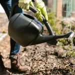 Water saving tips for checking moisture in newly mulched backyard garden beds
