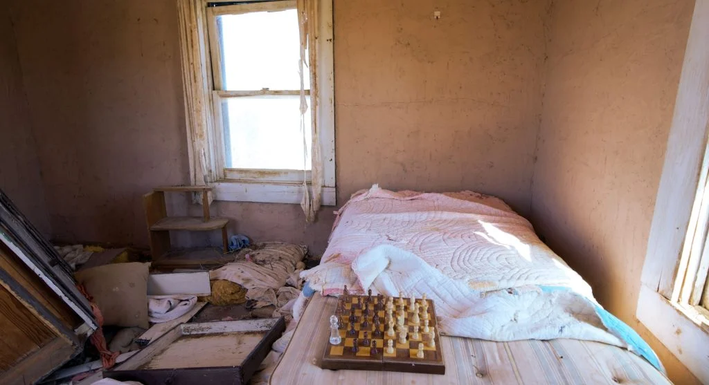 Pest control tips showing a small damaged corner patch before the whole bed is affected