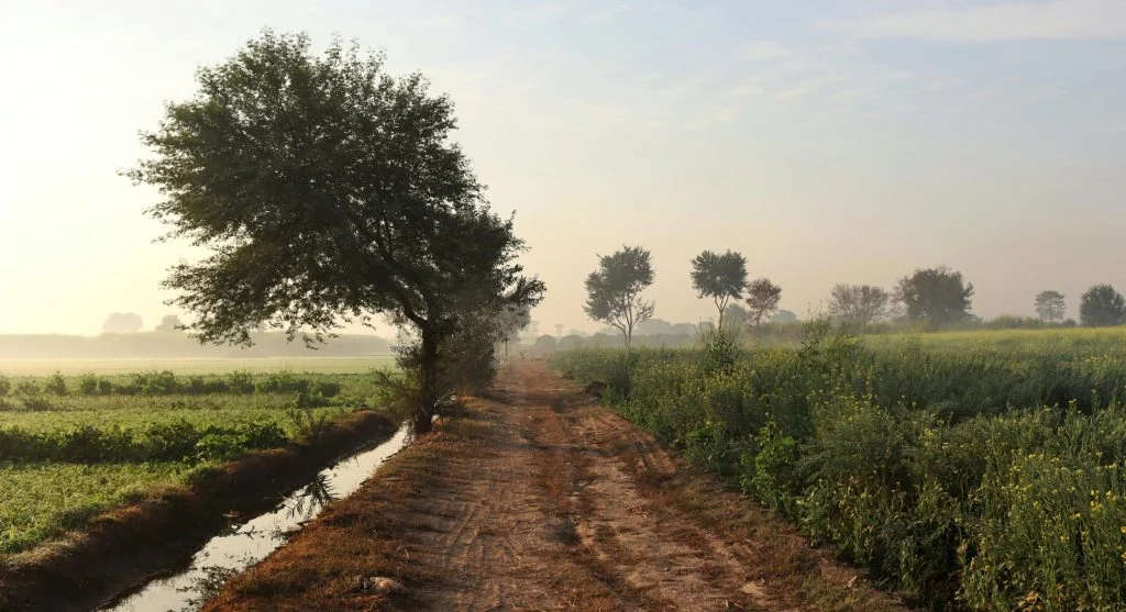 serene garden walk before farm work