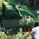 small garden space hacks