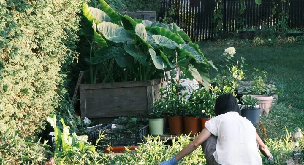 small garden space hacks