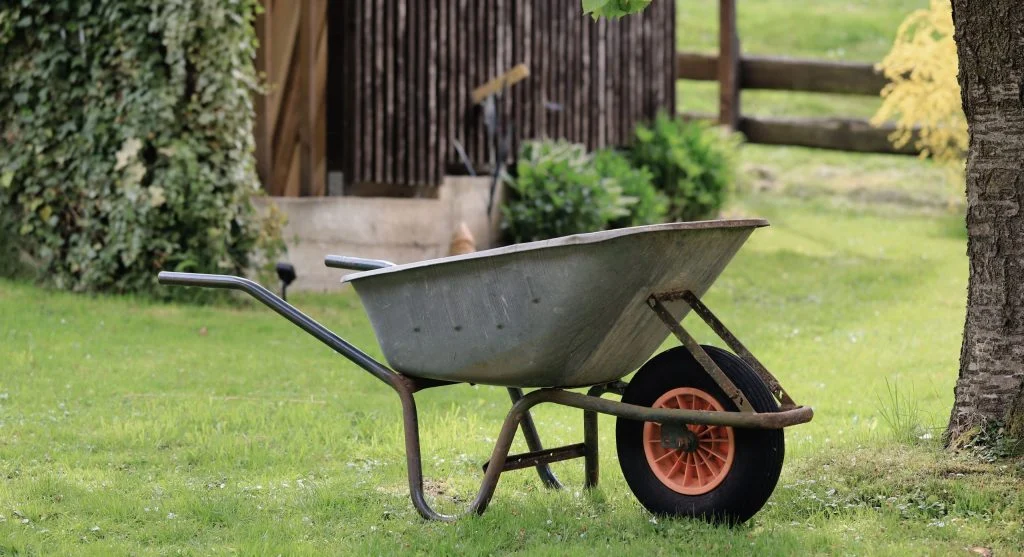 backyard garden chores organization
