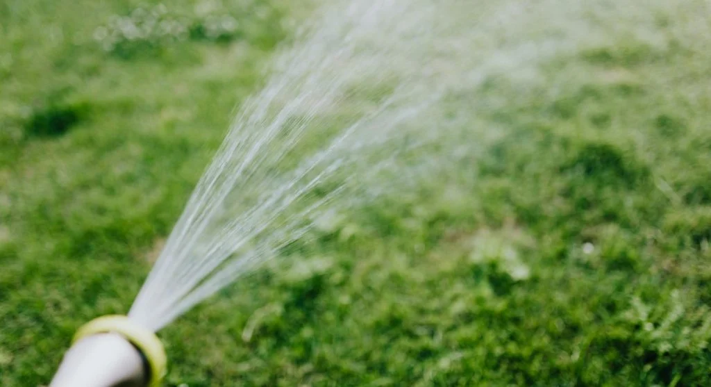 sunny vs shaded soil moisture checks