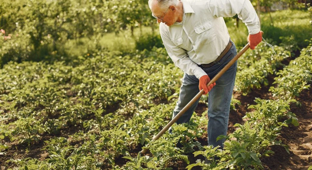 garden checks and outdoor chores