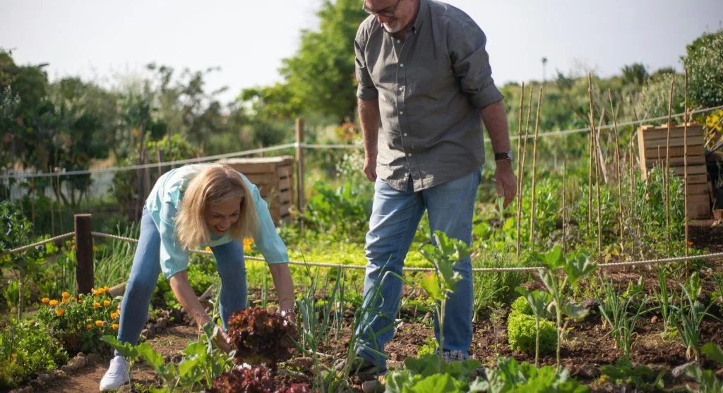 quick crop between veggies