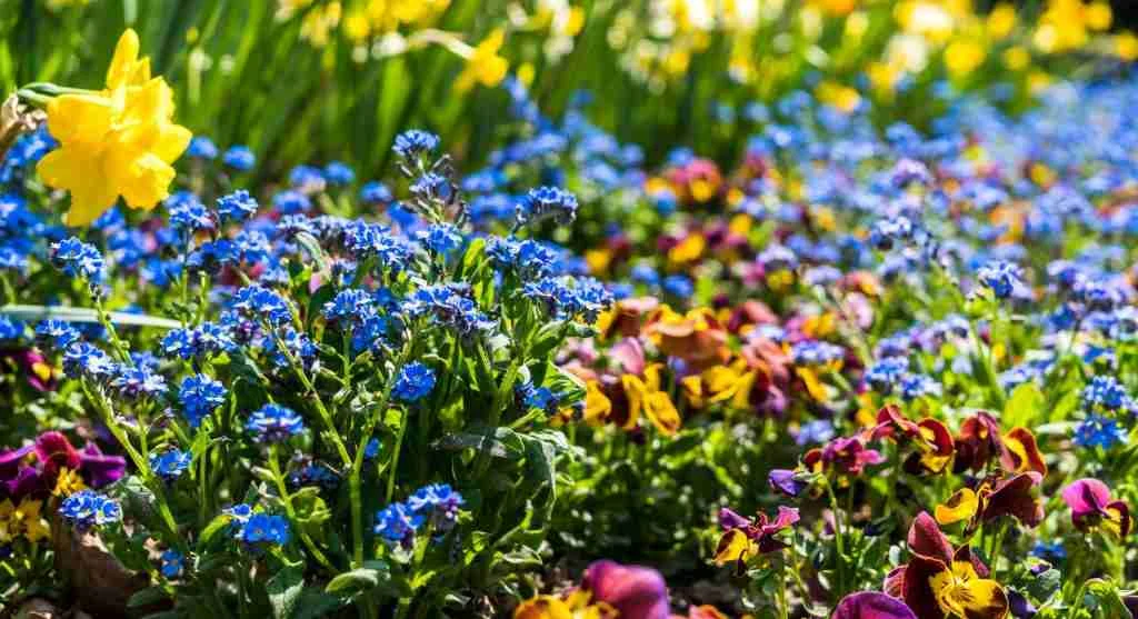 Growing hacks for keeping care access clear in a bed with fast and slow crops together