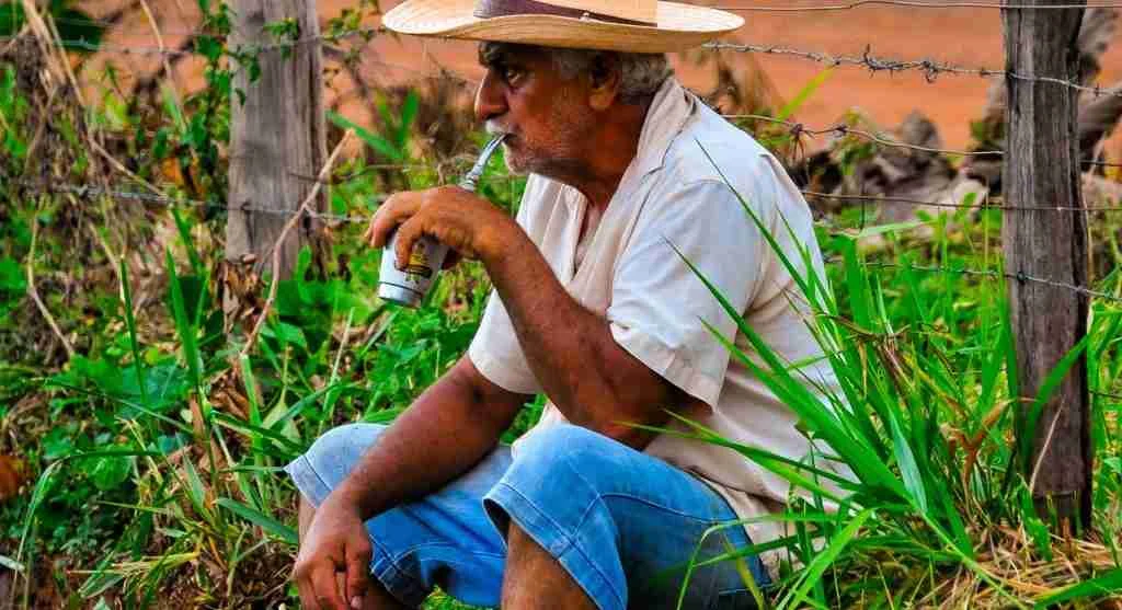 Farm life tips for matching a pause routine to the specific garden task being interrupted