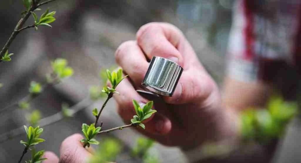 Growing hacks for checking current summer light before reusing an open garden space
