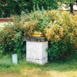 Garden tips for noticing when a backyard bed looks productive but has started losing momentum