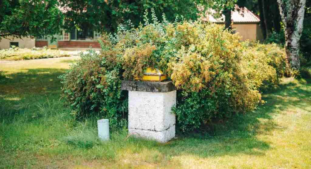 Garden tips for noticing when a backyard bed looks productive but has started losing momentum