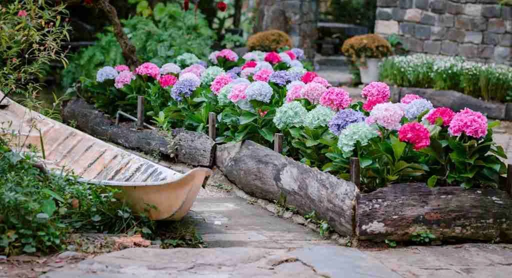 Planting tips for using a garden bed corner without disrupting the rest of the layout