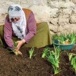 Increasing Crop Diversity in Small Gardens