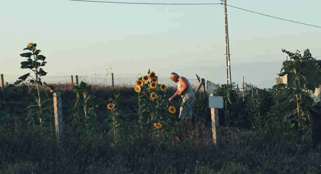 Farm life tips for finishing garden work with a simple reset before leaving the space
