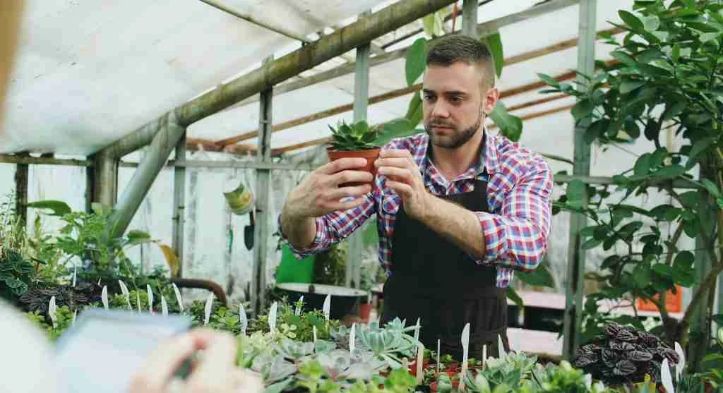 Pest control tips for checking tender new growth after watering when damage becomes easier to spot