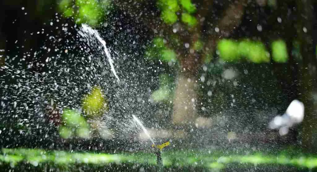 Water saving tips showing the difference between targeted root watering and broad surface wetting