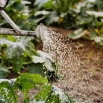 Water saving tips for comparing garden watering methods and reducing moisture waste